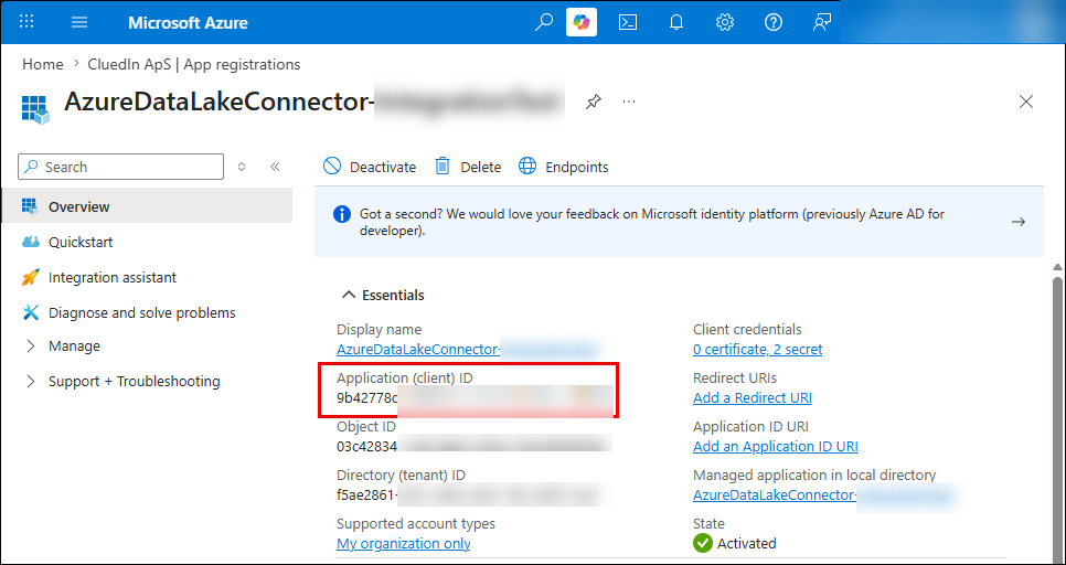 Azure portal app registration Overview page with the Application (client) ID highlighted in the Essentials section