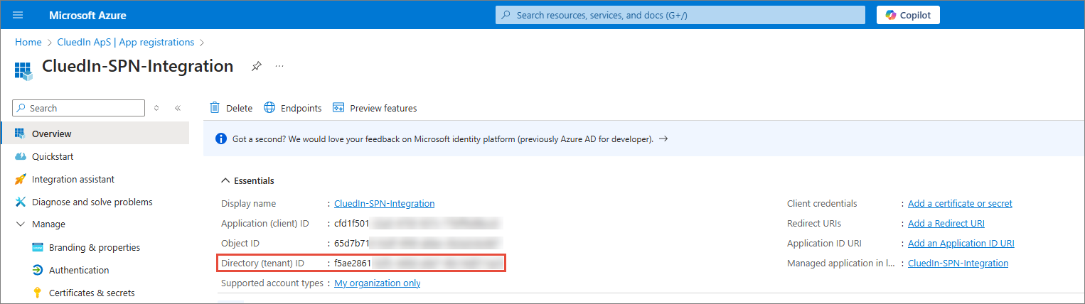 Azure app registration Overview page with the Directory (tenant) ID highlighted in Essentials