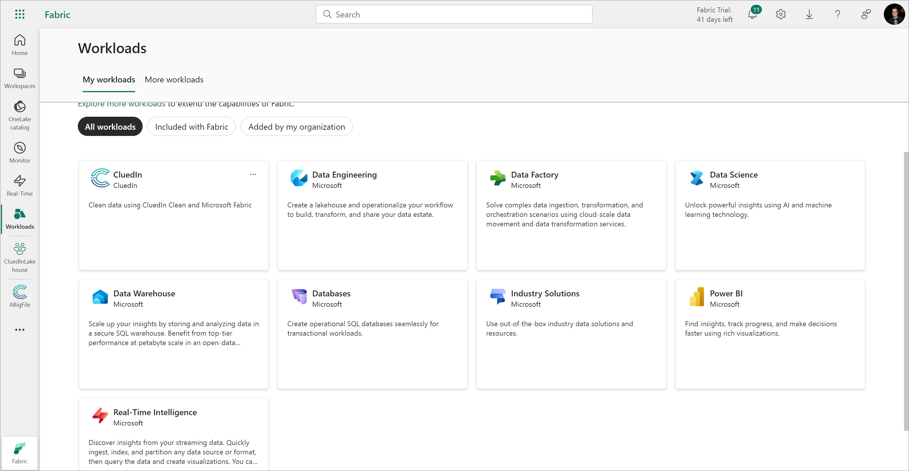 The Fabric Workloads page on My workloads, with the CluedIn workload card alongside Microsoft workloads